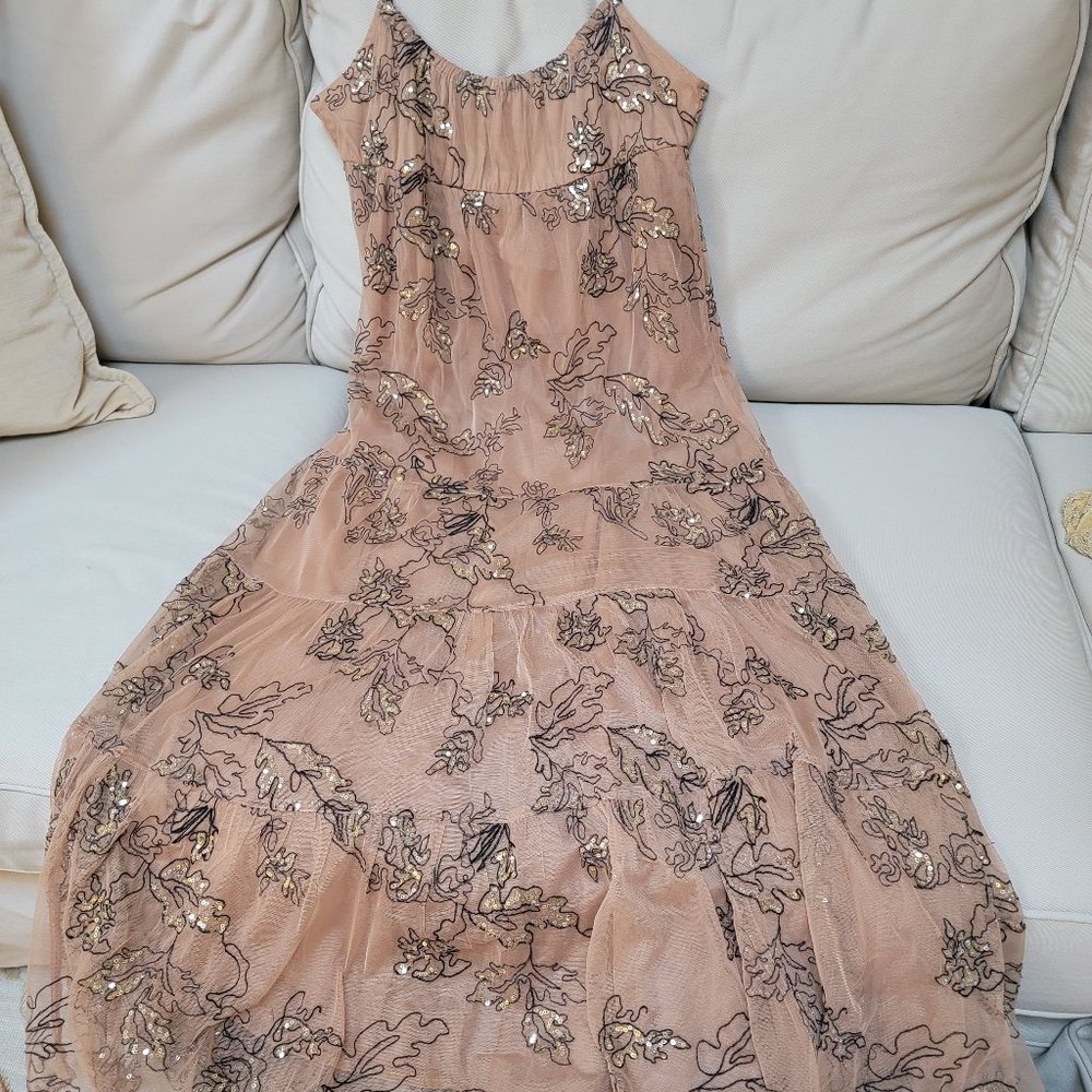 Anthropologie Sequined & Embroidered Mesh Maxi Dress NWOT